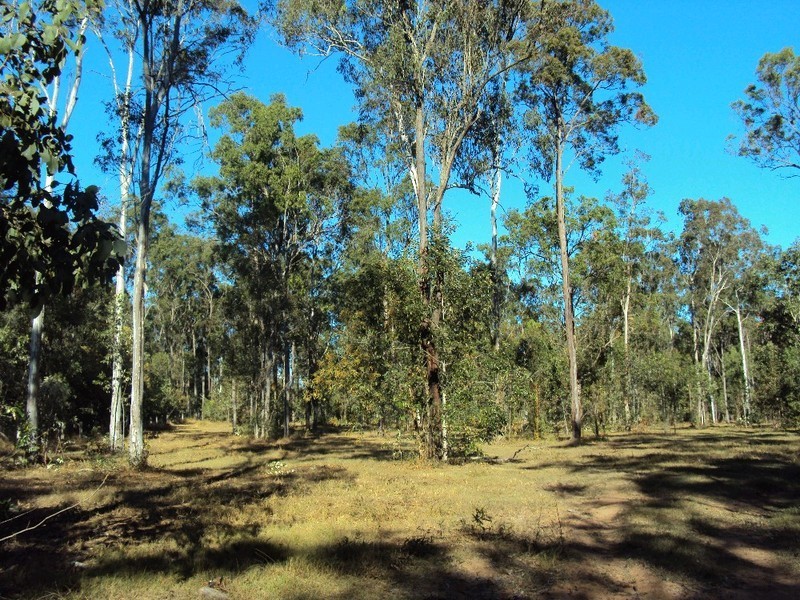 259 Clifton Drive, North Maclean QLD 4280