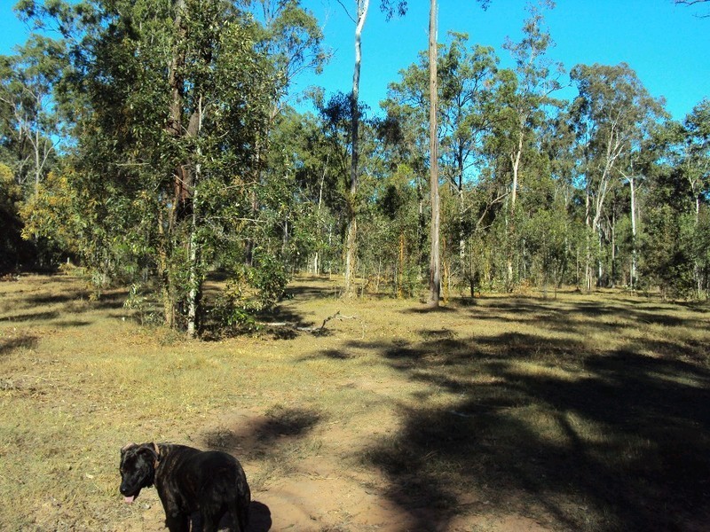 259 Clifton Drive, North Maclean QLD 4280