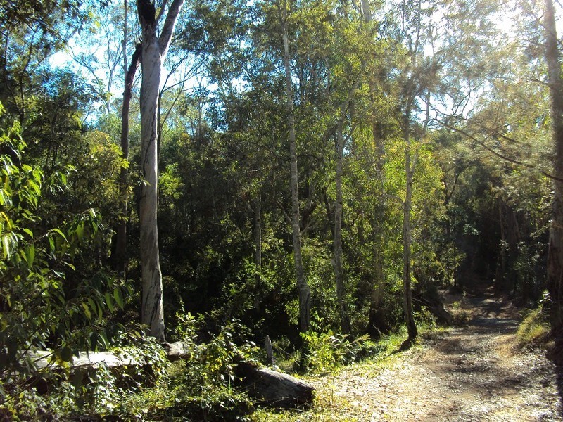 259 Clifton Drive, North Maclean QLD 4280