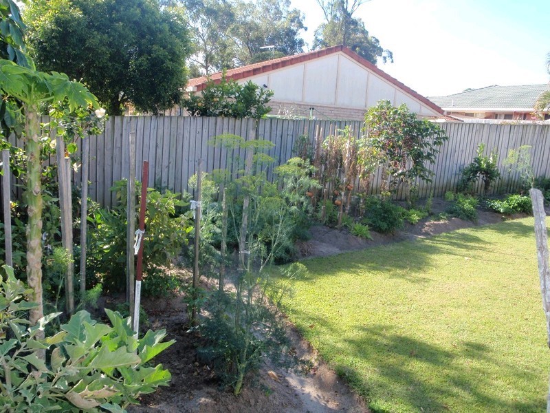 9 Rose Court, Calamvale QLD 4116