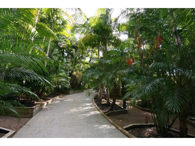 10 Mountridge Close, Kiels Mountain QLD 4559