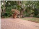 4 Highland Place, Buderim QLD 4556