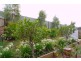74 Frogmouth Circuit, Mountain Creek QLD 4557