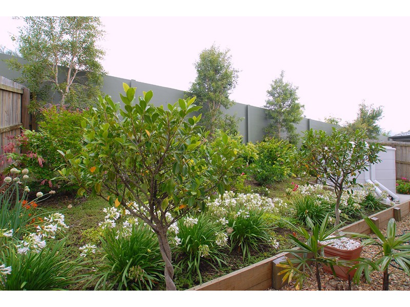 74 Frogmouth Circuit, Mountain Creek QLD 4557