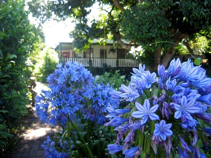 13 Elizabeth Street, Buderim QLD 4556