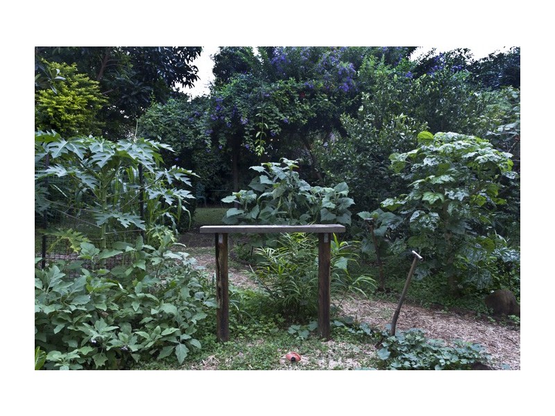 12 Chadwick Street, Buderim QLD 4556