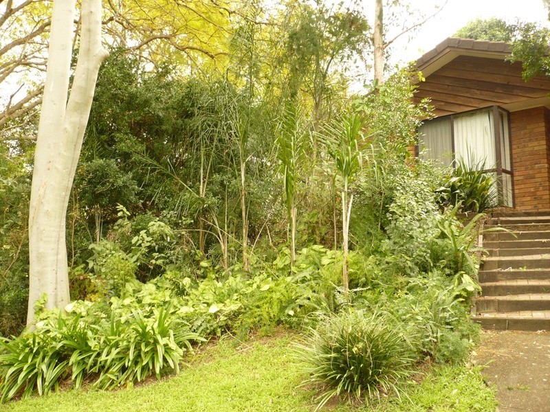 3 Wandoo Court, Karana Downs QLD 4306