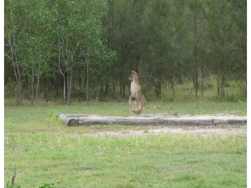 L433 Oakland Road, Karrabin QLD 4306