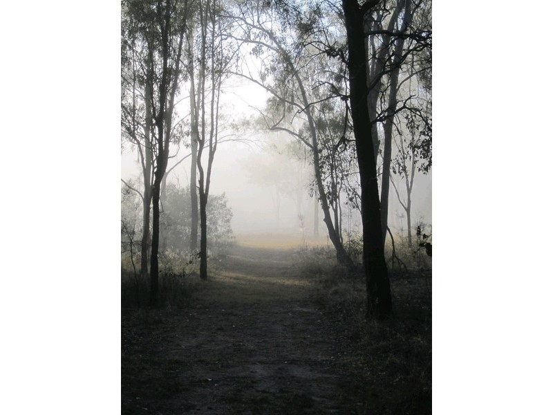 L433 Oakland Road, Karrabin QLD 4306