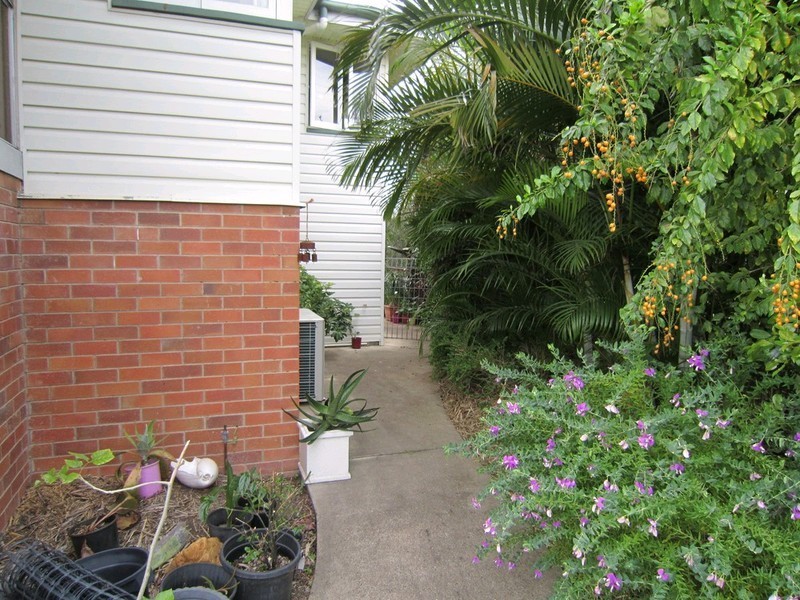 20 Marginson Street, Leichhardt QLD 4305