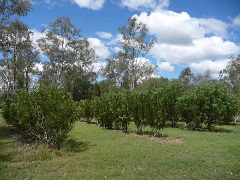 49 Hardings Road, Karrabin QLD 4306