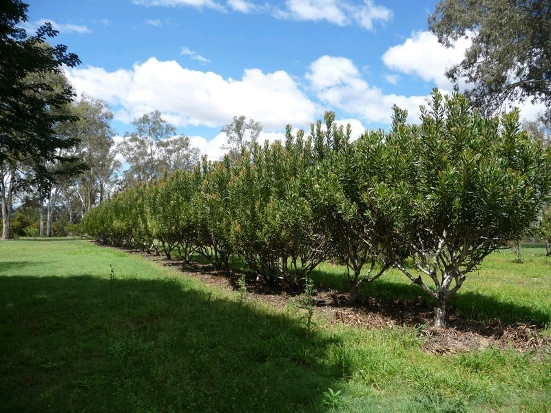 49 Hardings Road, Karrabin QLD 4306