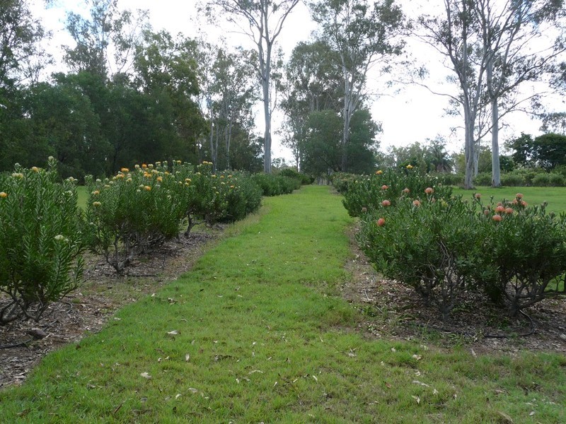 49 Hardings Road, Karrabin QLD 4306