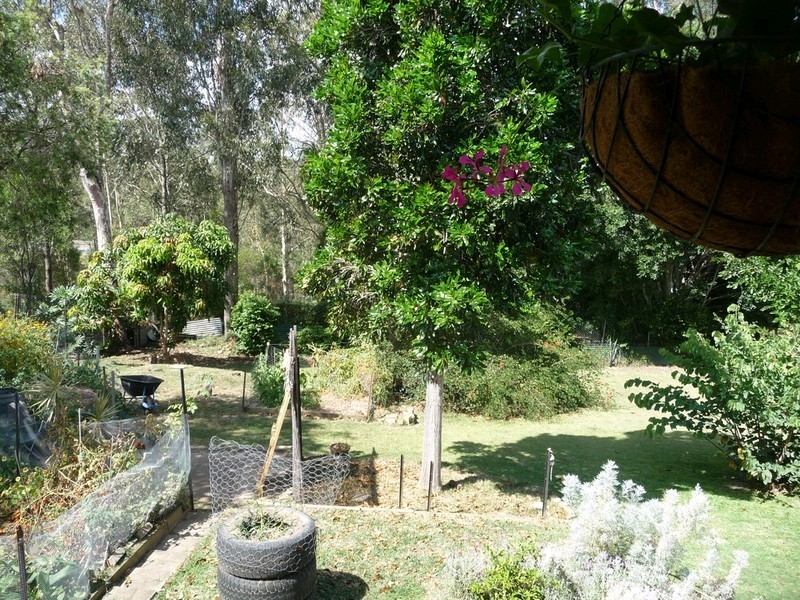 20 Holdsworth Road, North Ipswich QLD 4305