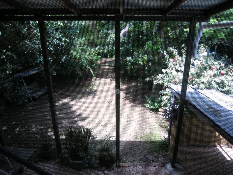 75 Matthew Street, Rosewood QLD 4340