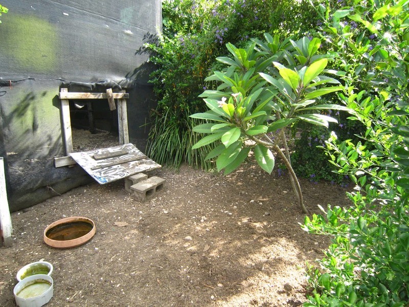 1 Maher Street, North Ipswich QLD 4305