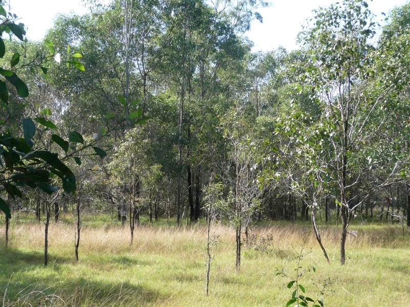 1 Durlik Road, Pine Mountain QLD 4306