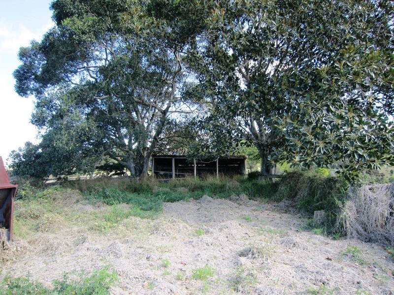 563 Riverside Drive, Pine Mountain QLD 4306