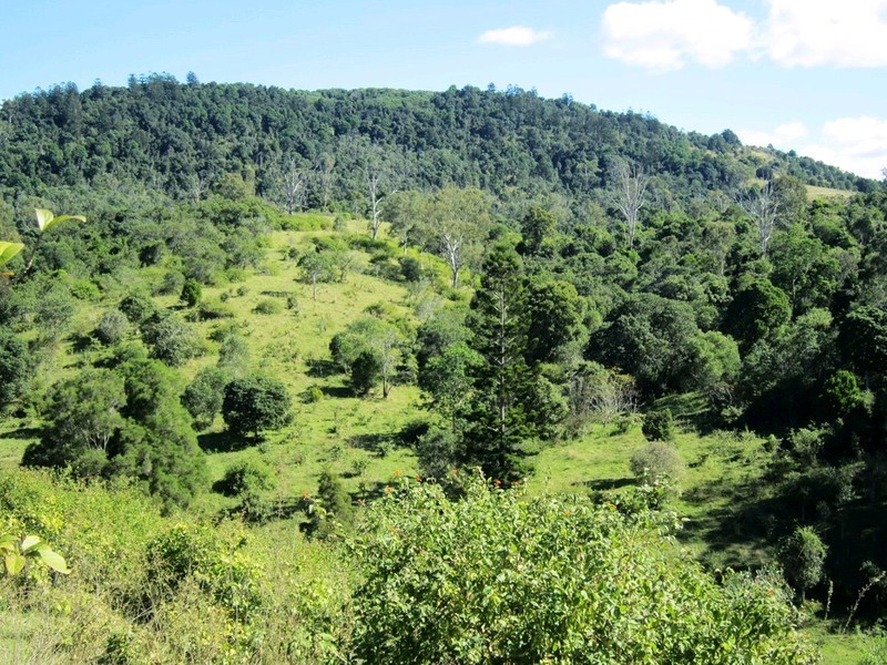 563 Riverside Drive, Pine Mountain QLD 4306