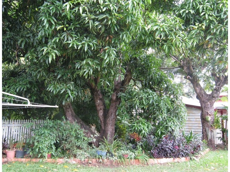 32 Thompson Street, Silkstone QLD 4304