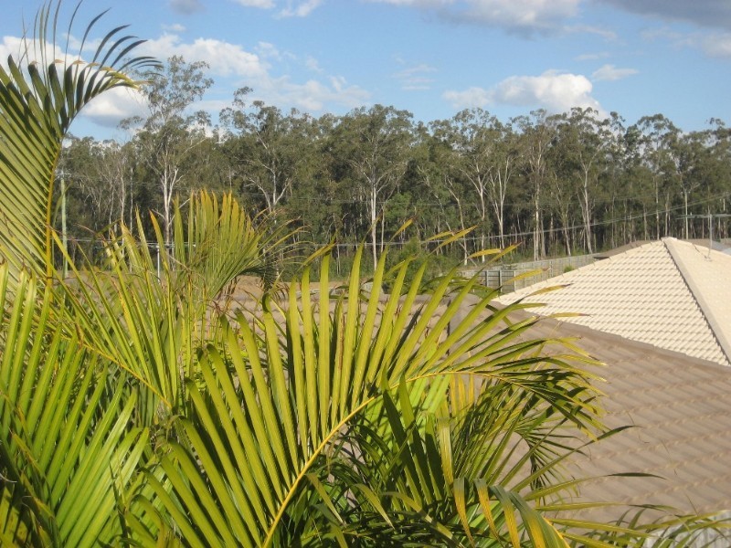 25 Pearse Street, Collingwood Park QLD 4301
