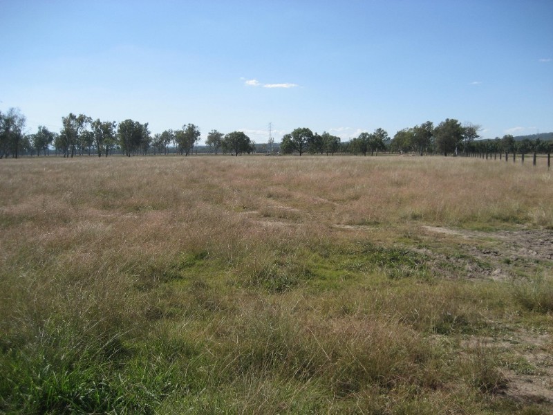 Purga QLD 4306