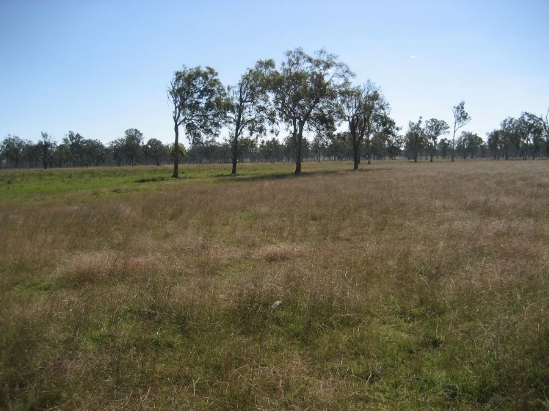 Purga QLD 4306