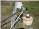 Purga QLD 4306