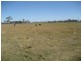 Purga QLD 4306