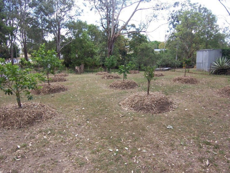 6 Holt Street, Brassall QLD 4305