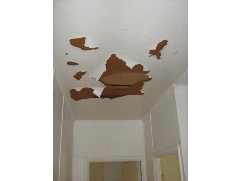 15 Toongarra Road, Leichhardt QLD 4305