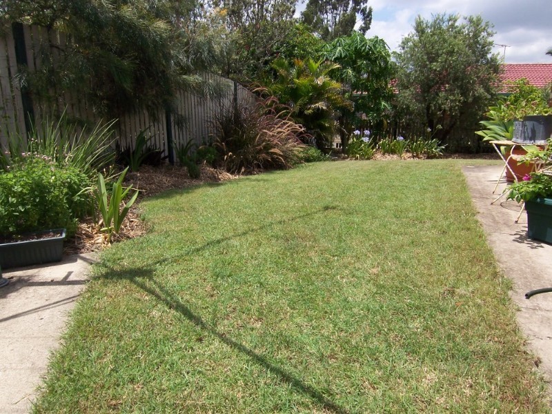 2 Palm Avenue, Raceview QLD 4305