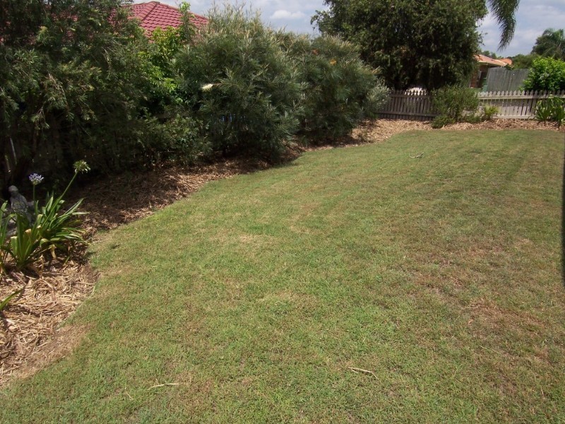 2 Palm Avenue, Raceview QLD 4305