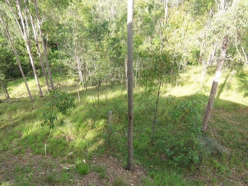 207 George Holt Drive, Mount Crosby QLD 4306