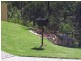 8 Berkeley Circuit, Bellbird Park QLD 4300