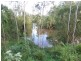 25 Tiger Street, Sadliers Crossing QLD 4305