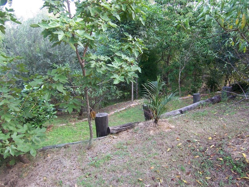 25 Tiger Street, Sadliers Crossing QLD 4305