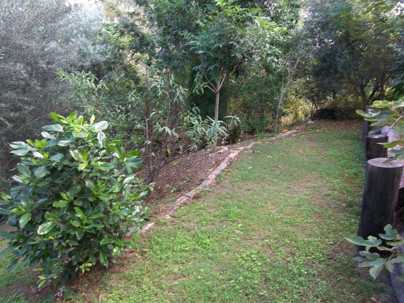 25 Tiger Street, Sadliers Crossing QLD 4305