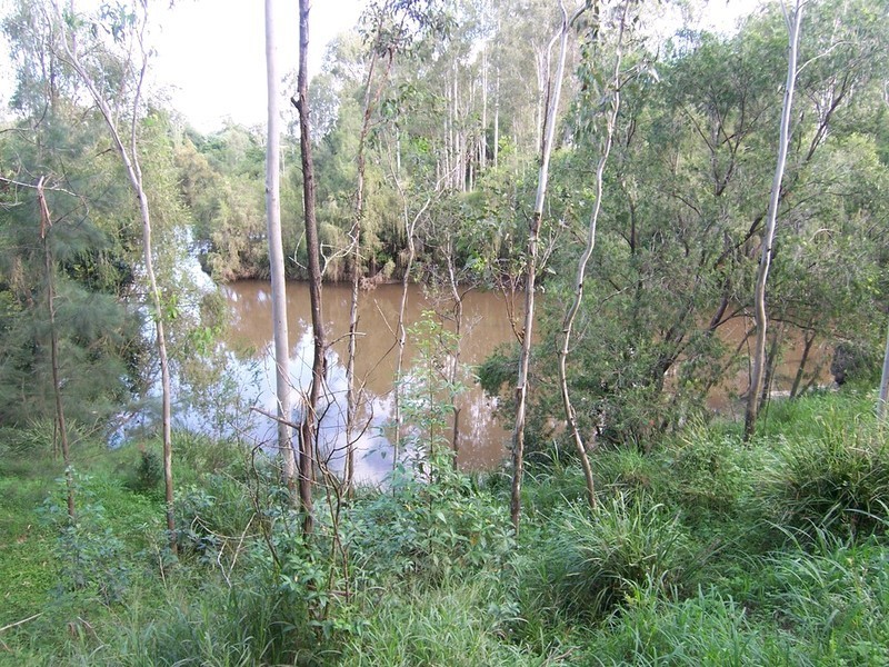 25 Tiger Street, Sadliers Crossing QLD 4305