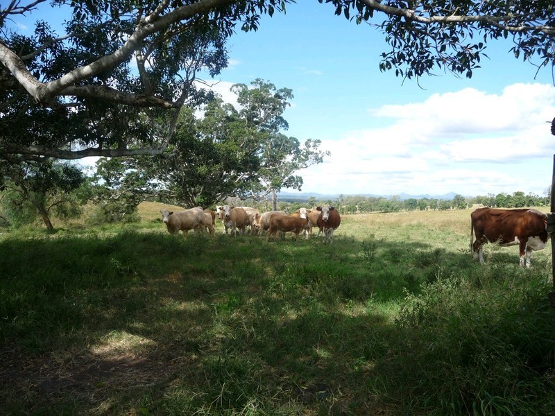 146 MT MARROW QUARRY ROAD, Haigslea QLD 4306