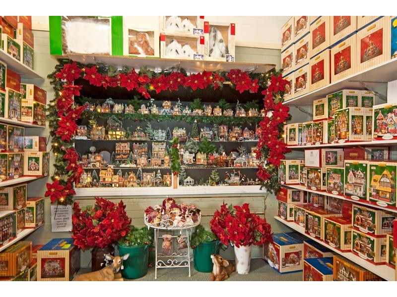 1A Dinmore Street, Dinmore QLD 4303