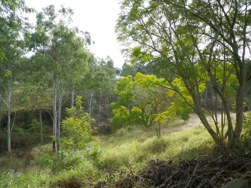 2 Lobb Street, Churchill QLD 4305
