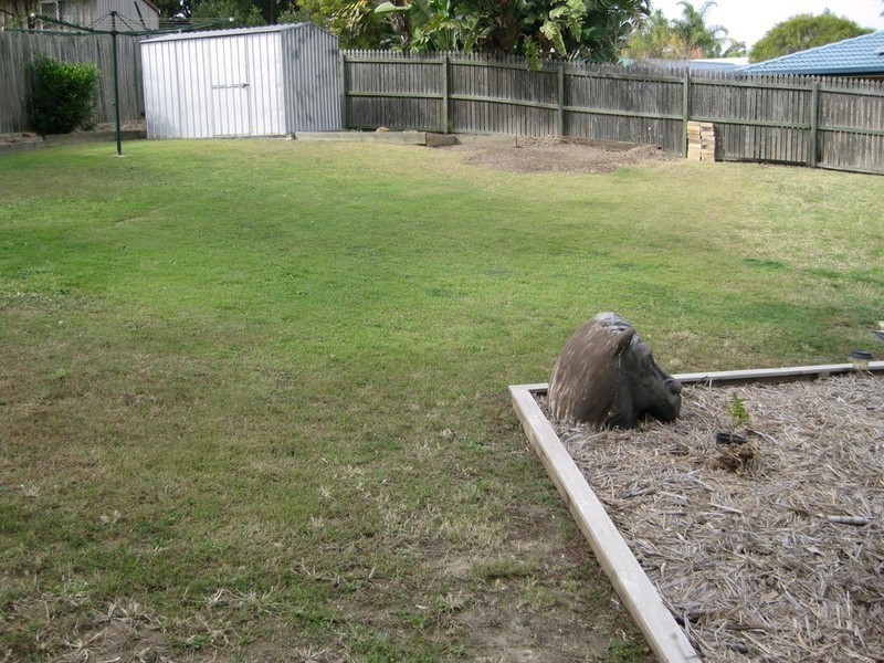 14 Hanlon Court, Collingwood Park QLD 4301