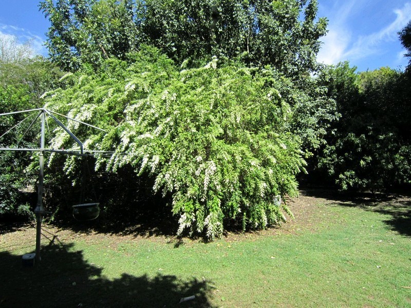 1 Clifton Street, Booval QLD 4304