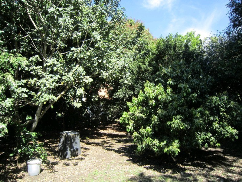 1 Clifton Street, Booval QLD 4304