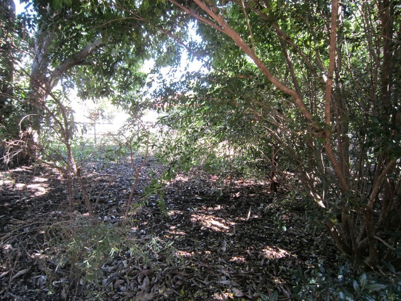 1 Clifton Street, Booval QLD 4304