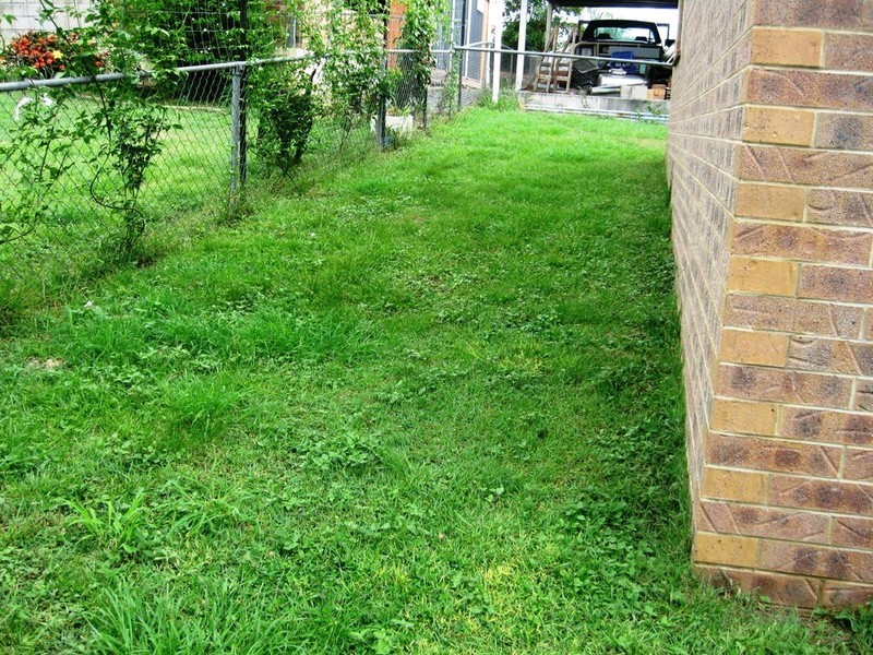 1 Slack Street, North Booval QLD 4304