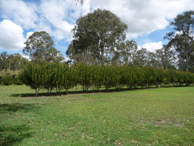 49 Hardings Road, Karrabin QLD 4306