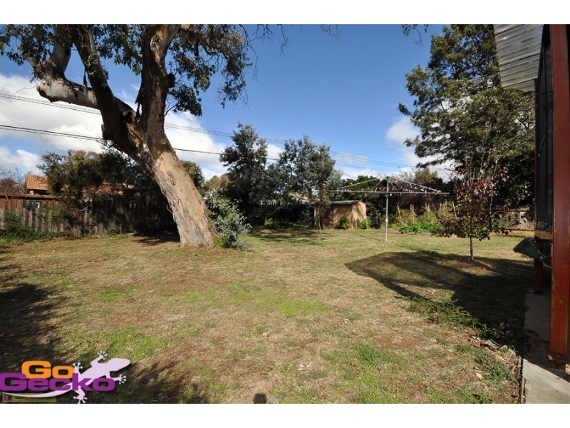 20 Kinsella Street, Higgins ACT 2615