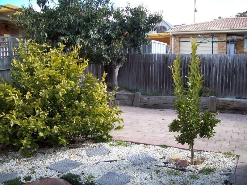 20 Ferguson Circuit, Ngunnawal ACT 2913